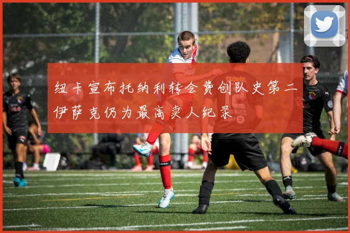 纽卡宣布托纳利转会费创队史第二伊萨克仍为最高卖人纪录